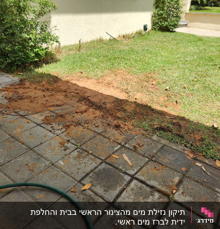 צינור מים ירוק על רצפת בטון עם אדמה רטובה